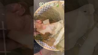 ആവിയൂറും ഇലയട🤤🍃Part-2 #nostalgia #foodvlog #tasty #elayada #youtubeshorts