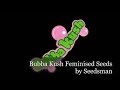 Bubba kush feminised seeds
