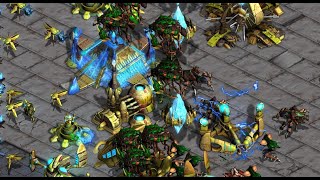 DROPS! Effort 🇰🇷 (Z)! Mini 🇰🇷 (P)! on Benzene- StarCraft - Brood War REMASTERED