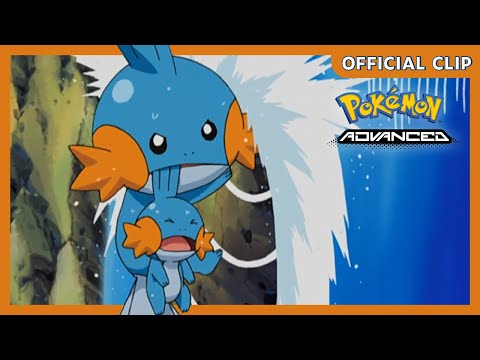 Baby Mudkip! | Pokémon: Advanced | Official Clip
