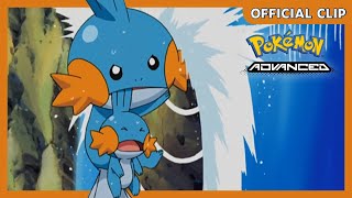 Baby Mudkip! | Pokémon: Advanced | Official Clip