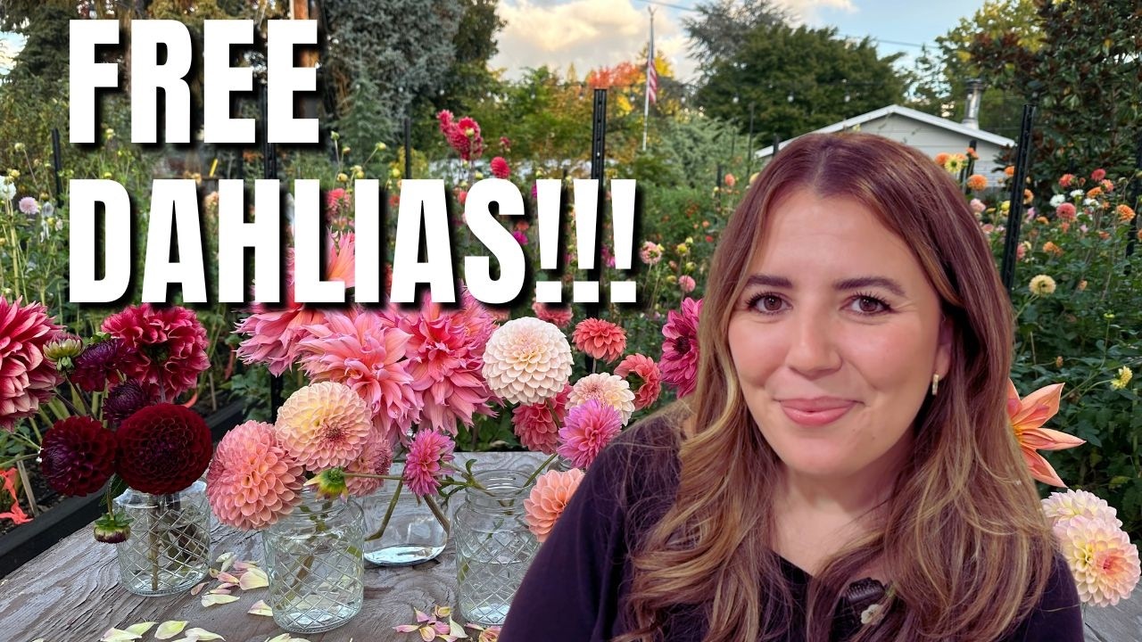 2026 Dahlia Shopping Guide + GIVEAWAY!