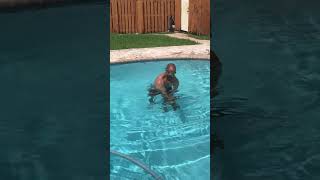 Resourceful Man Safely Retrieves Iguana from the Pool