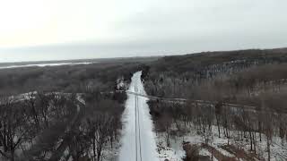 DJI FPV redtailed hawk attacks drone