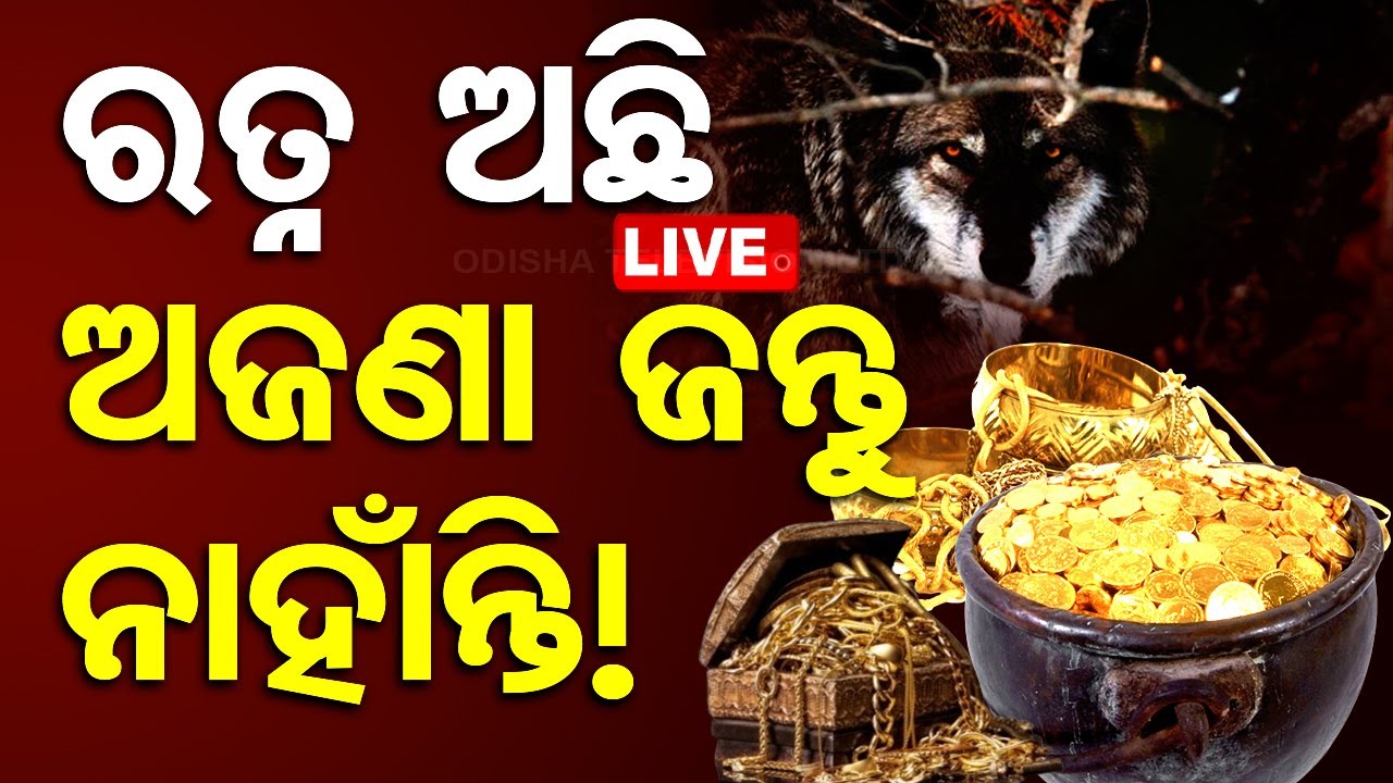 Live | ରତ୍ନ ଅଛି, ନାହାଁନ୍ତି ଅଜଣା ଜନ୍ତୁ ! Puri Srimandir Ratnabhanadar Opening