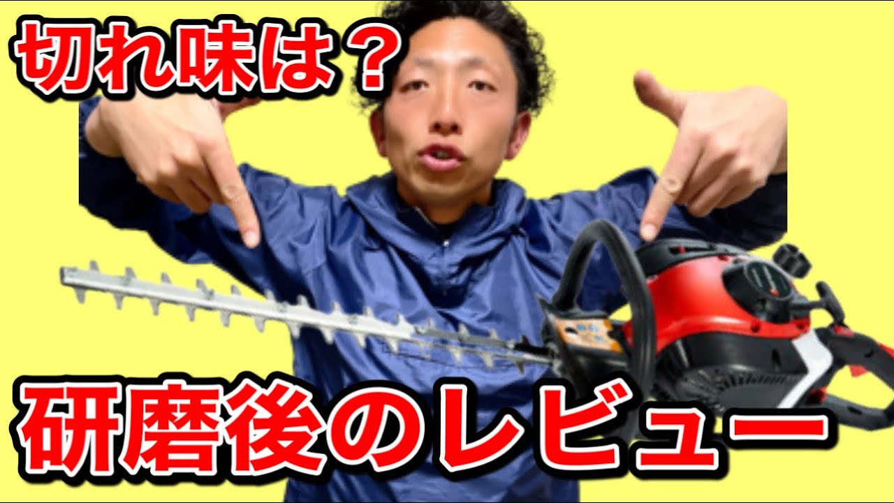 トリマー研磨後のレビュー】庭師が教えるエンジントリマーのエンジンを