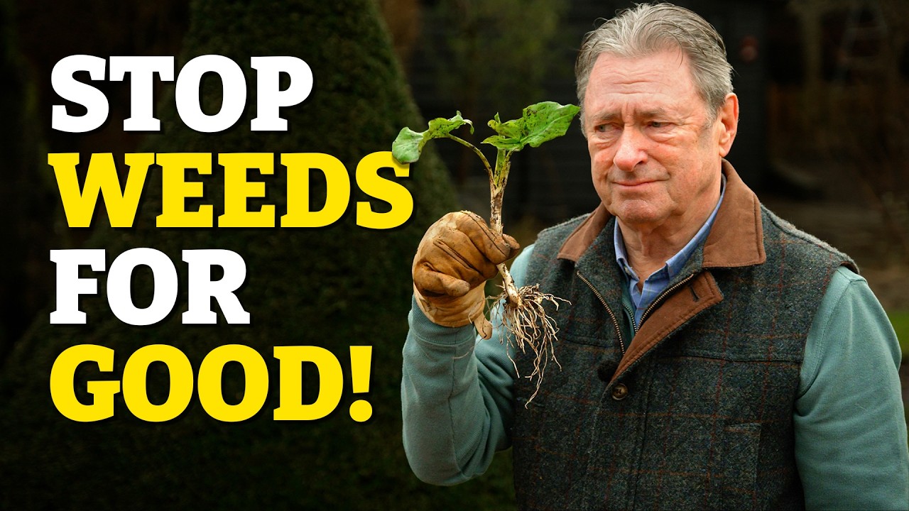 What I Use Instead of Weedkiller (And Why It Works Better)