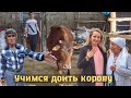 Вернулись в кишлак! Учимся доить корову! Узбекистан.