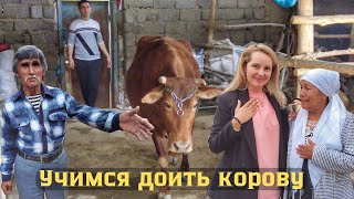 Вернулись в кишлак! Учимся доить корову! Узбекистан.