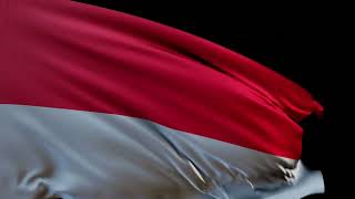 Indonesia Flag Background 40secs Free Stock Footage