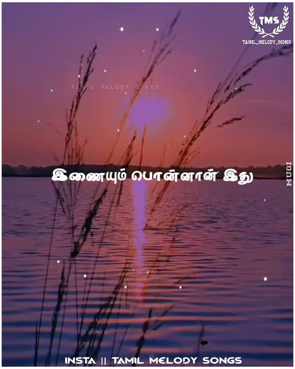 Chinna poongili sindhum thenmozhi Song.Melody express.trending.Night vibes.Kuthu songs.Thala Ajith