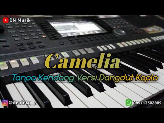 Camelia - Tanpa Kendang - Versi Dangdut Koplo. class=