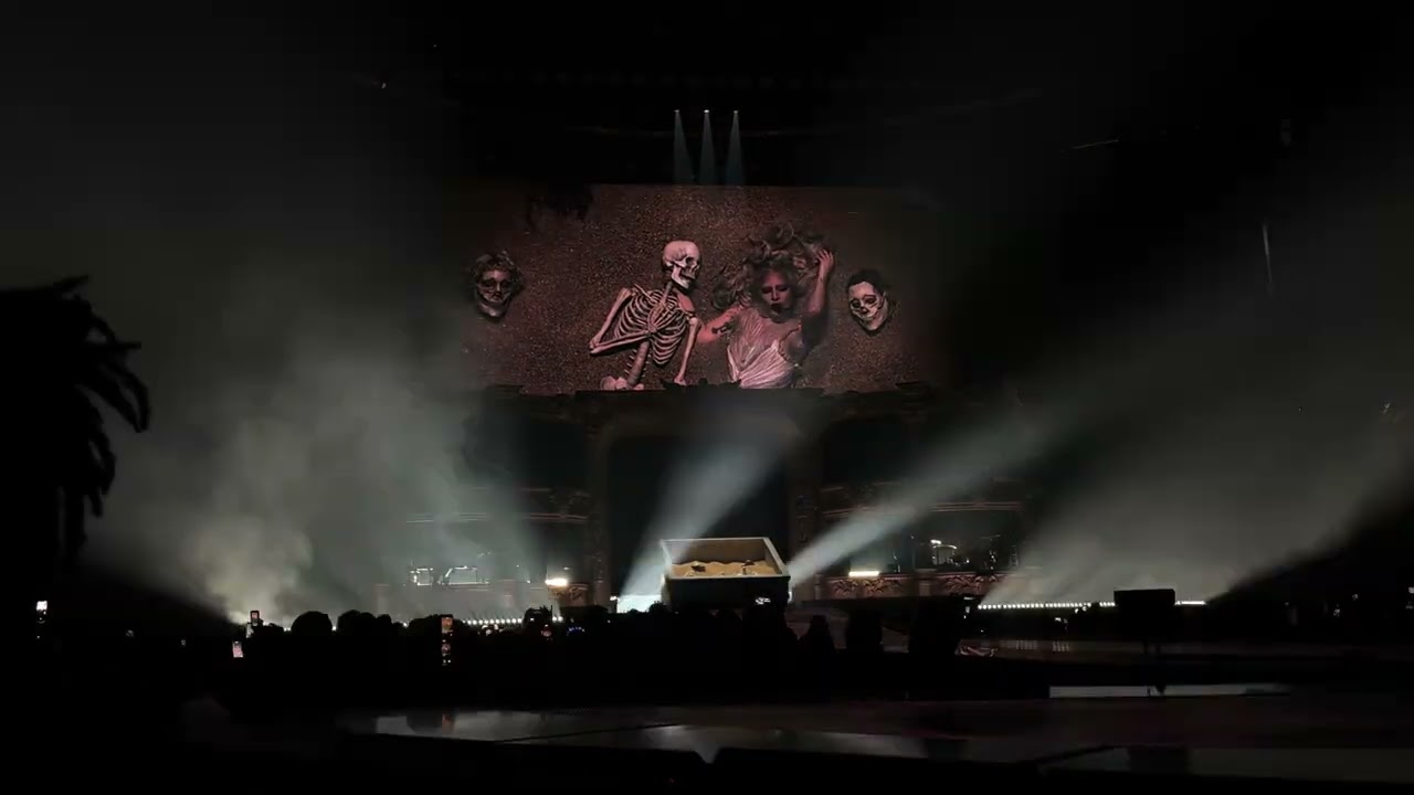 Perfect Celebrity - Mayhem Ball - Lady Gaga - 3/9/26 - Austin