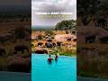 Tanzania: The Hidden Tropical Paradise You Can Explore on a Budget! #tanzania #travel #budgettravel