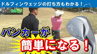 アプローチ・バンカーが簡単に！ドルフィンウェッジの特徴と打ち方【GOLF Net TV】