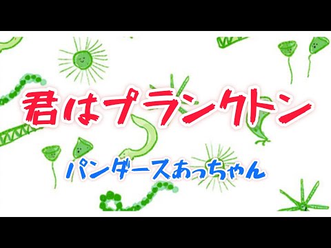君はプランクトン　あっちゃん