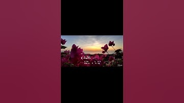 سُورَةُ الزُّمَرِ - القارئ طارق محمد  #طارق_محمد #القرآن #القرآن_الكريم #Quran