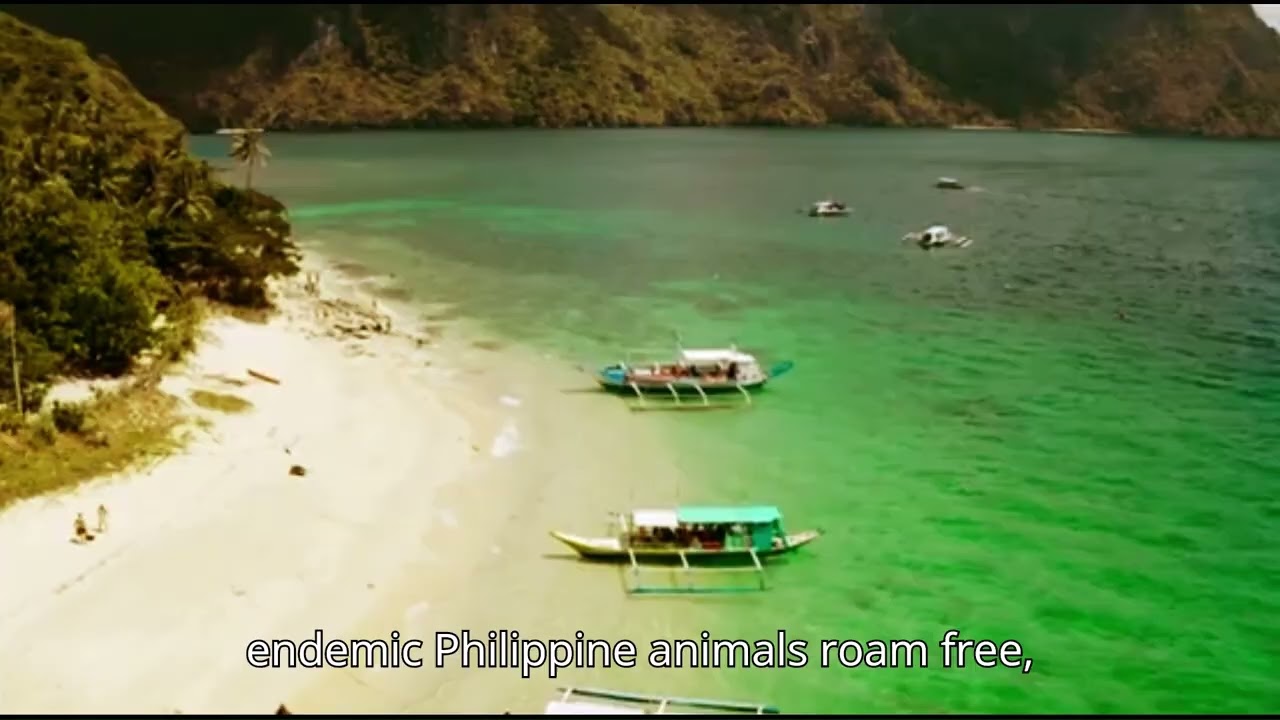 Discover Palawan: The Last Frontier of the Philippines | Ultimate Travel Guide
