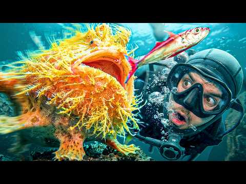 Strange Fish can WALK!? Most Bizarre Sea Creatures!