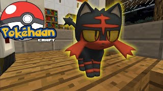 The Very BEST | Minecraft Pokehaan Craft Ep 1 screenshot 4