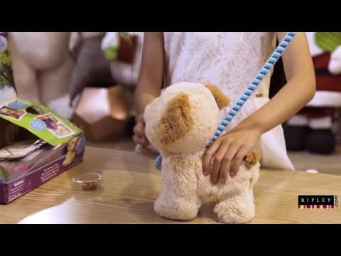 R-Play | Fur Real Friends