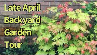 Late April Backyard Garden Tour || 🌸Emerald Coast Gardening🌊