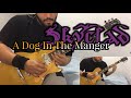 Skyclad  a dog in the manger  full guitar cover