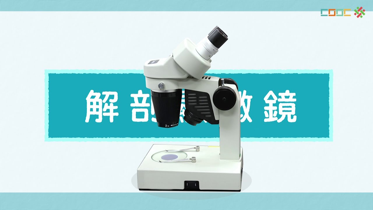 108新課綱｜七上生物｜【討論】解剖顯微鏡的操作與觀察