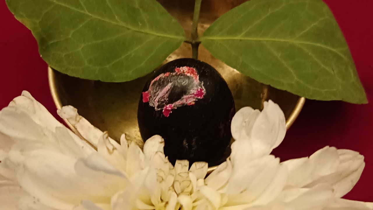 Shivaratri upavas mattu pooje...