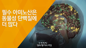 필수 아미노산은 동물성 단백질에 더 많다 - (2016.10.5_596회 방송)_고기에 대한 오해와 진실