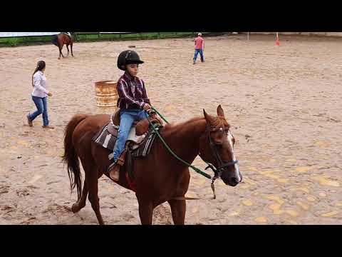 Menina de 5 anos é tão encantada por cavalos que leva um escondido