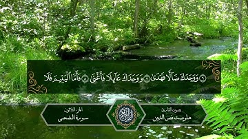سورة الضحى بصوت القارئ هلويست نصر الدين