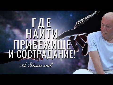 Где найти прибежище и сострадание? Александр Хакимов