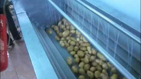 Máy Rửa Củ, Quả ( Dạng con lăn bàn chải)