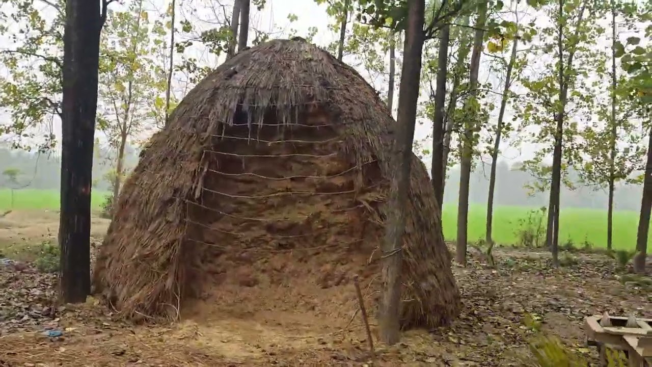 Visit to Hanuba Organics Black Rice Farms Milak  