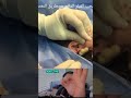Is This The Most Insane Pop We Ve Ever Seen Is This The Most Insane Pop We Ve Ever Seen