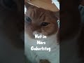 Wie ähnlich bist du mir?