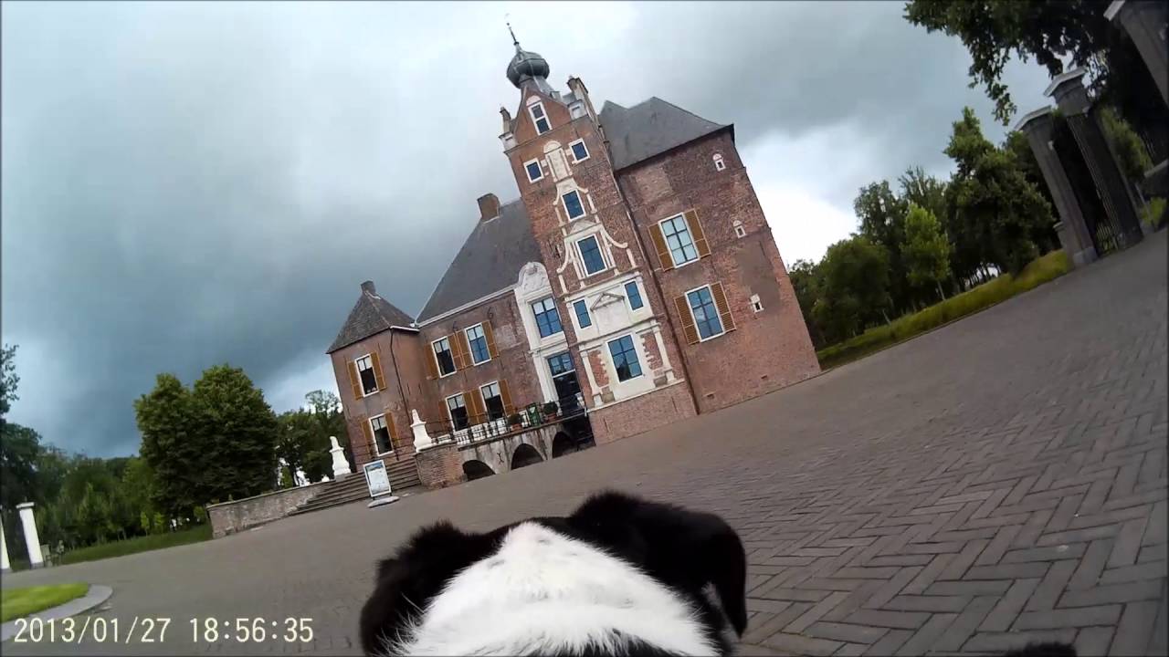Quibus walking around Cannenburch castle, Vaassen