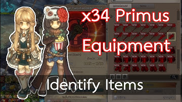 [TOS] Identify Items #1 x34 Primus Equipment