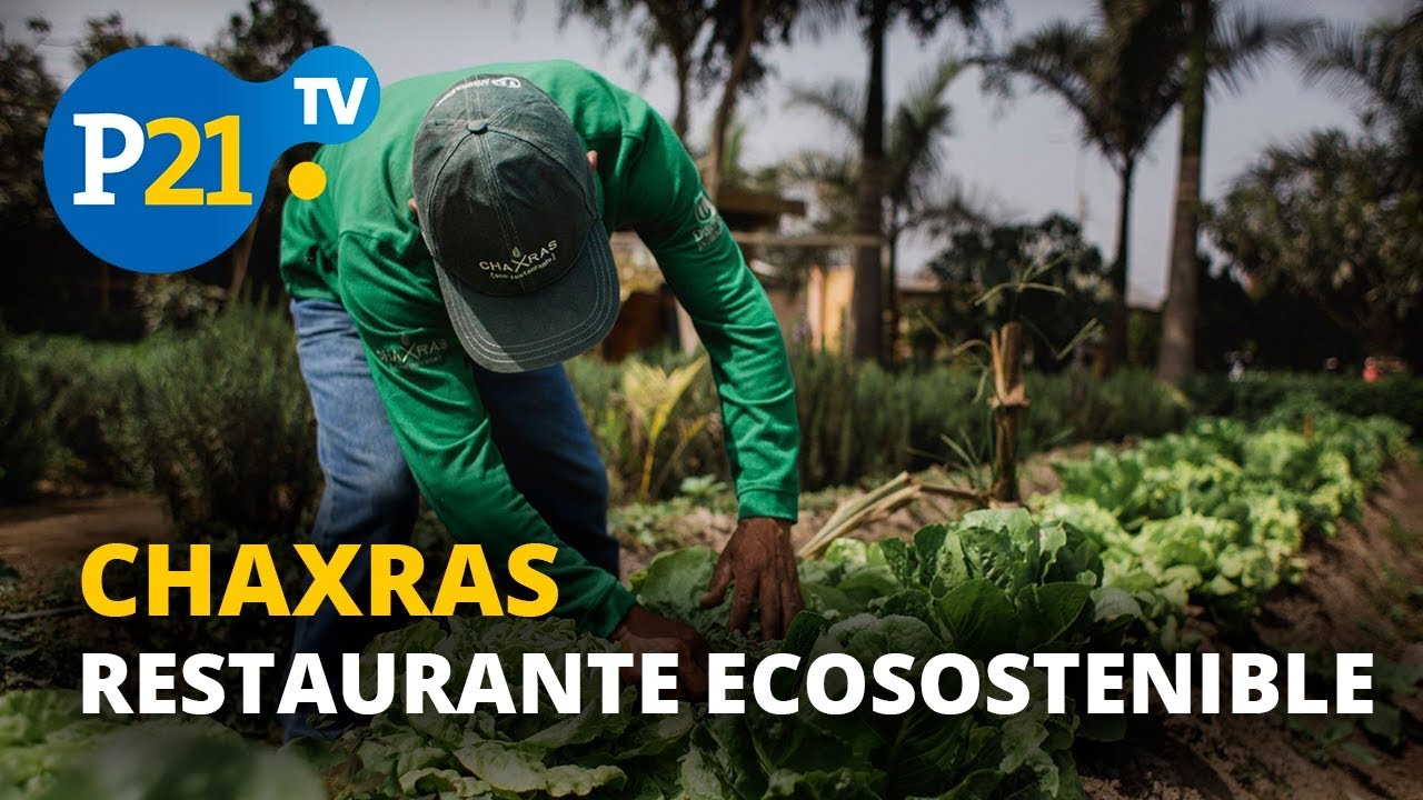 CHAXRAS, EL RESTAURANTE ECOSOSTENIBLE, ESTO ES 