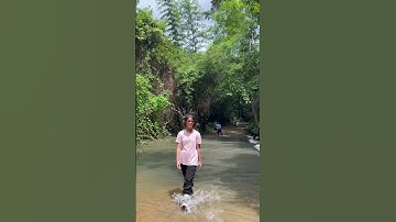 Chích Bông ở Vườn quốc gia Nam Cát Tiên | rừng Nam Cát Tiên rất đẹp