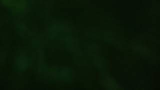 Quay Len Trong Nha Nghi. Hoa Quynh