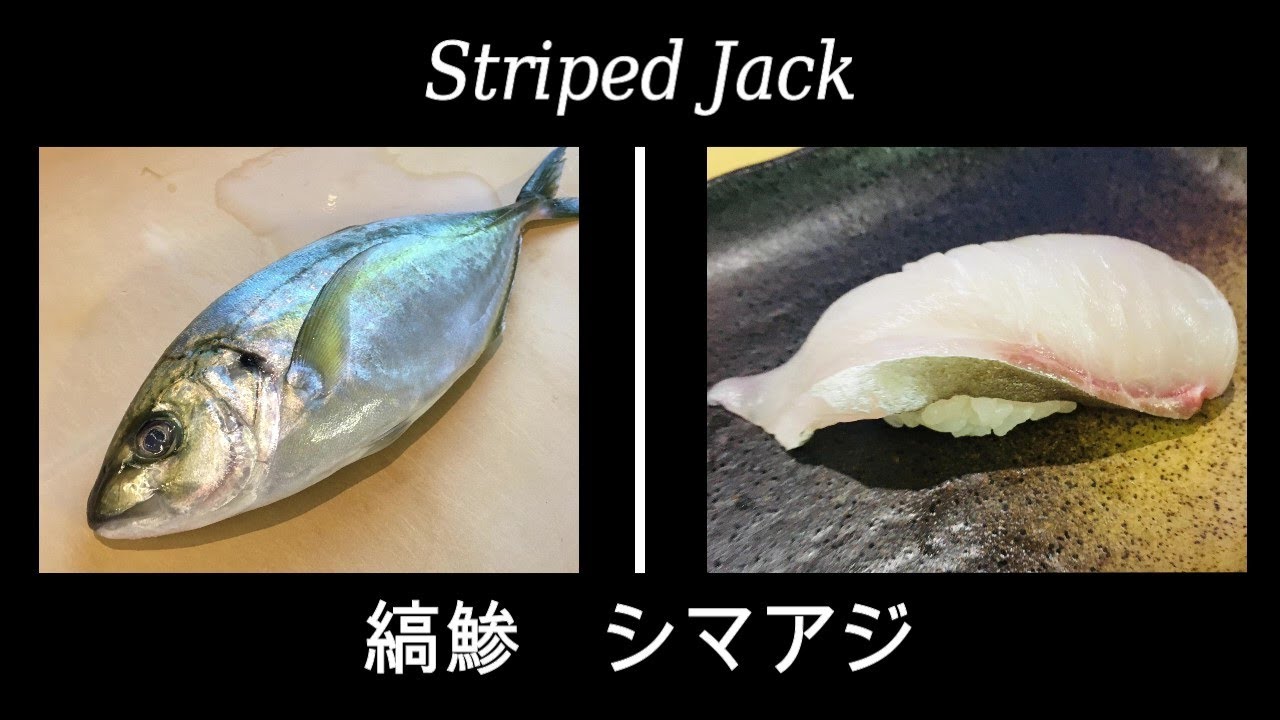 魚を捌こう 縞鯵 しまあじ編 魚って意外にカンタンに捌ける Youtube