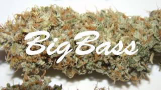 Beryer Beats - Bigb Instrumental