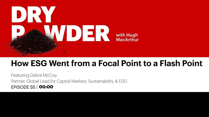 How ESG Went from a Focal Point to a Flash Point
