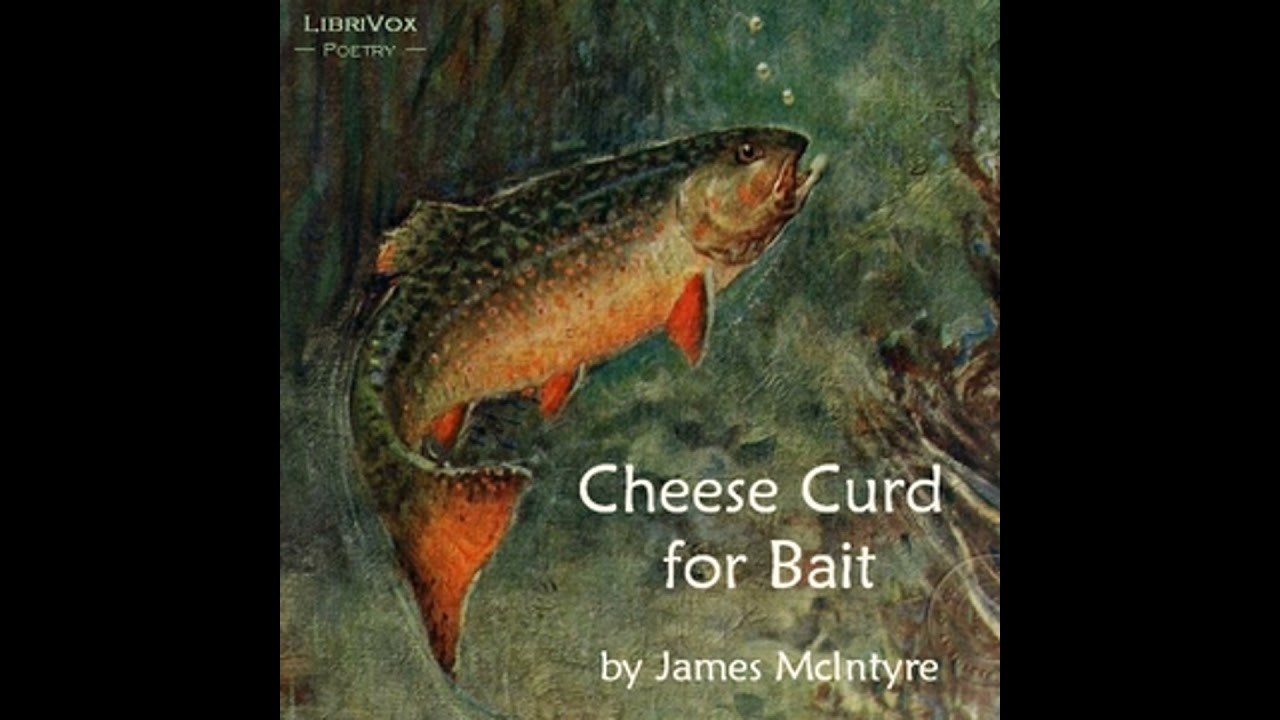 Cheese Curd for Bait - James McIntyre