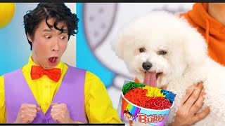 type of maggi Eaters by Multi Do challenge part 6, doggie like Maggi