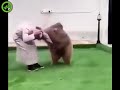 Сытый медведь   счастливый медведь