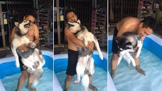 Husky Doesnt Like The Bath