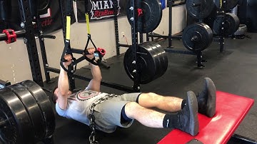 TRX Inverted Row w/ chains (Feet-elevated)